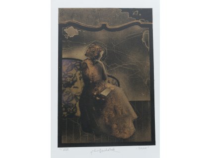 Vladimír Suchánek - Dopis