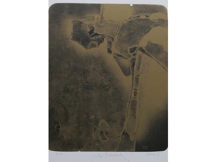 Vladimír Suchánek - Situace II