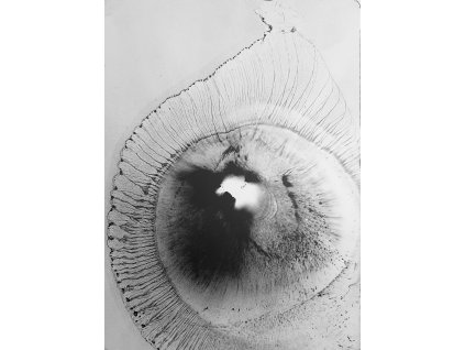 Petr Nikl - Bez názvu IV