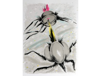 Xénia Hoffmeisterová - Nové druhy II