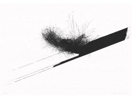 Jiří Lindovský - Grafika I