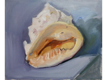 Tomáš Němec - Mušle