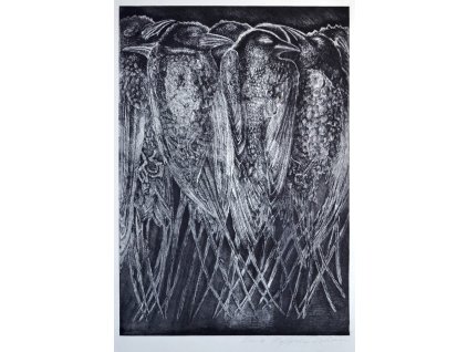 Xénia Hoffmeisterová - Vlaštovky