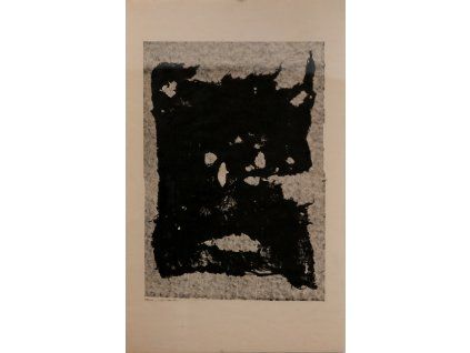 L1079720