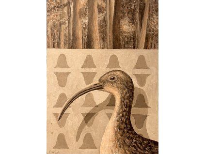 Koliha, 29 x 21 cm