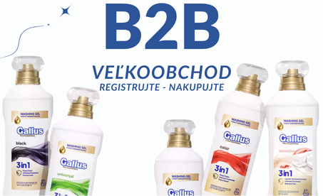 b2b