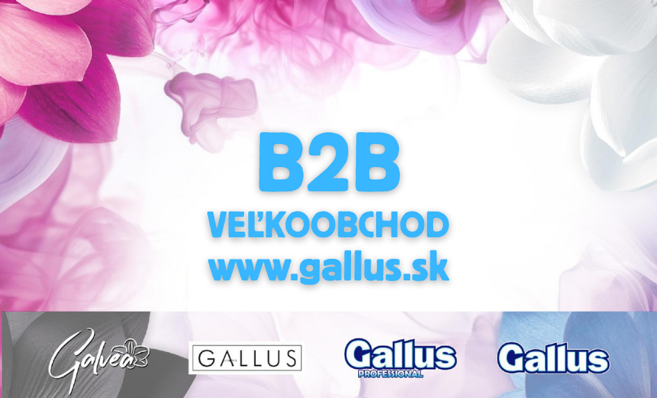 b2b