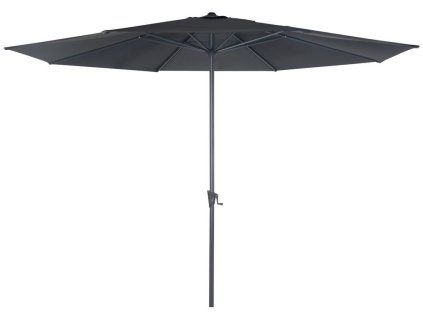 slunecnik roja standard 4 m 1