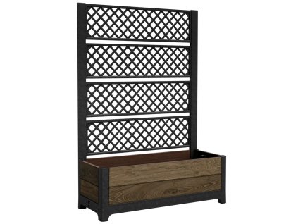 17214585 new 2026 tulip rhombus 2 12769 rgb