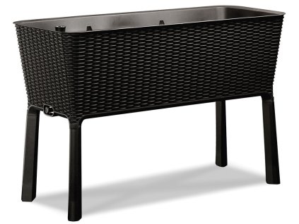 17194592 easy grow 6169 rgb grafit