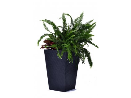 Rattan planter M - grafit