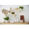 image loft 4