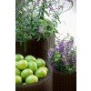 17197934 cylinder planters set s m l 6991 rgb