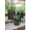 17197934 cylinder planters set s m l 6994 rgb 1