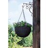 17199246 hanging sphere planter 6195 rgb