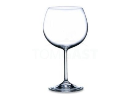 Sklenice Burgunder 46 cl