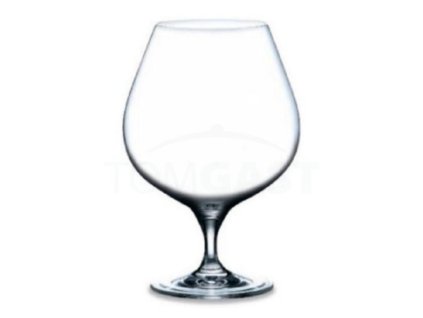 Sklenice na brandy 66 cl