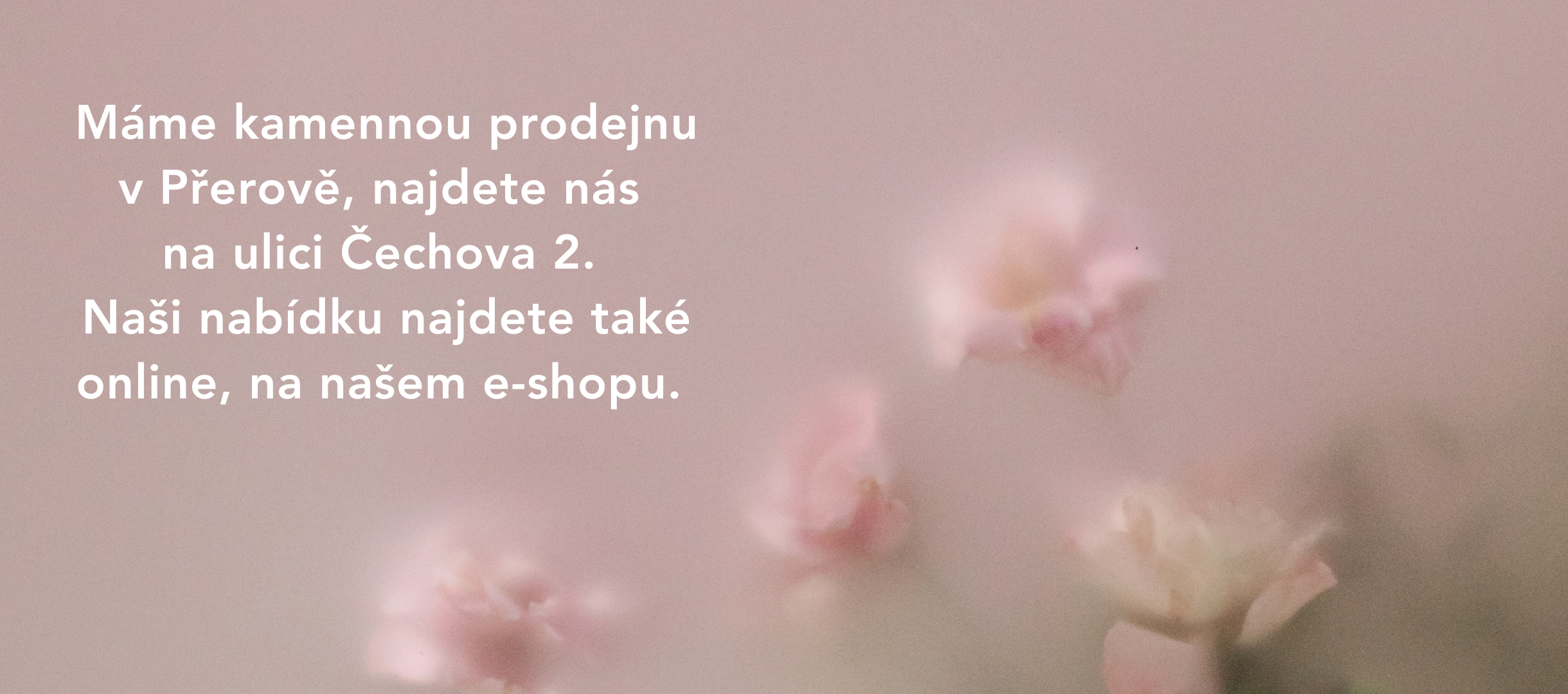 O nás na webovky.png