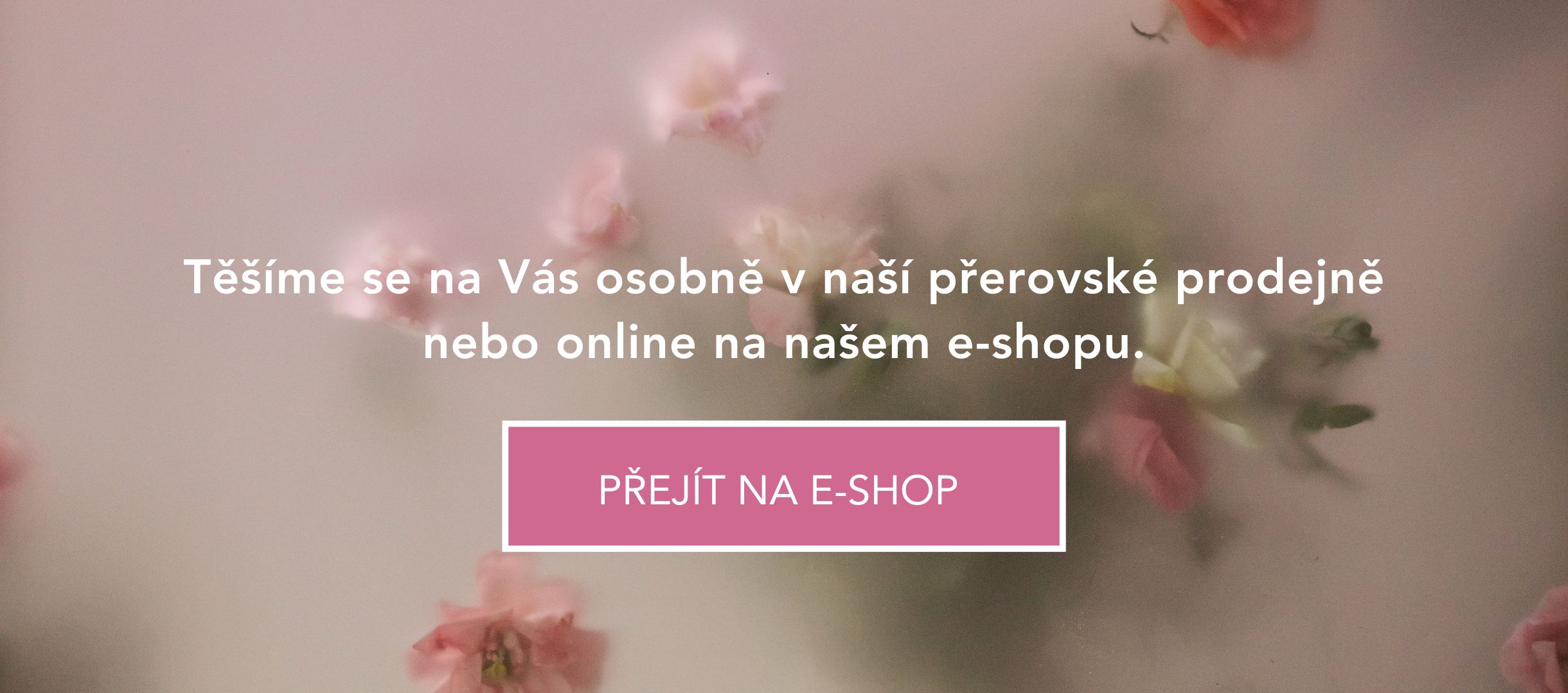 O nás na webovky (1).png