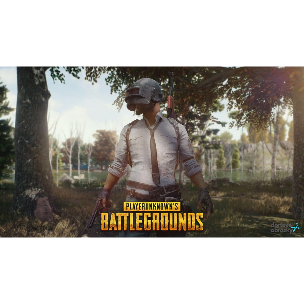 Jedlý papír  PUBG (● velikost formát A4 (25x20cm) ☝, ● materiál FONDÁNOVÝ DECORLIST ✴️)
