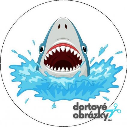 BABY SHARK (● velikost průměr 20 cm ☝, ● materiál FONDÁNOVÝ DECORLIST ✴️)