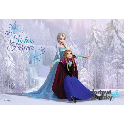 FROZEN (● materiál FONDÁNOVÝ DECORLIST ✴️)