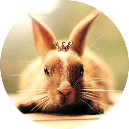 Jedlý papír  KRÁLÍČEK S KORUNKOU