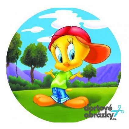 KUŘÁTKO TWEETY (● velikost průměr 20 cm ☝, ● materiál FONDÁNOVÝ DECORLIST ✴️)