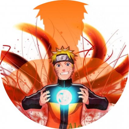 NARUTO 33