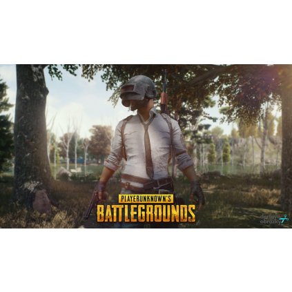 Jedlý papír  PUBG (● velikost formát A4 (25x20cm) ☝, ● materiál FONDÁNOVÝ DECORLIST ✴️)