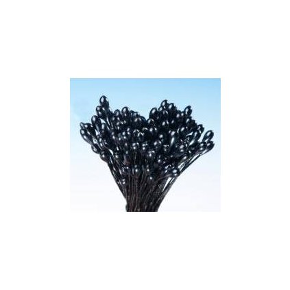 34a5e9c8a7d792a6f1a25b6eed9c3156