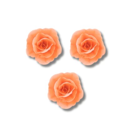 Krásný jedlý květ - 15 ks - Pivoňka, lososová 5,5 cm