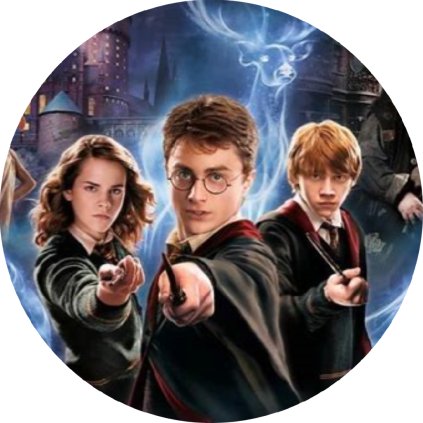 HARRYPOTTER3256