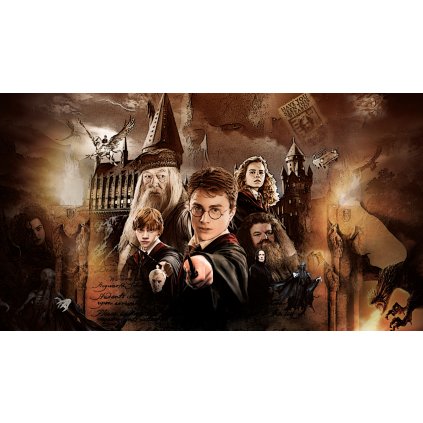 HARRYPOTTERQ (2)