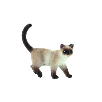 72d8cc465d99aca8600629a994e9cd06