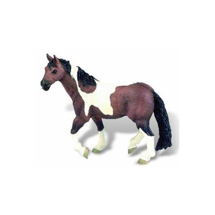 50fb6427932f03d5c36bbef331cb8e86