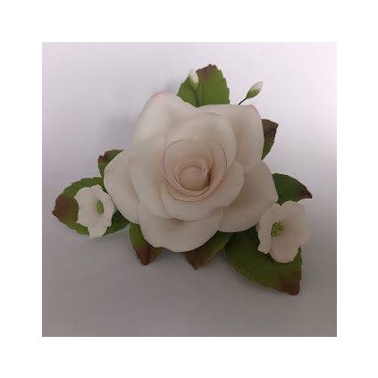 46c1fdf38a9ebac1666f49a255f82321