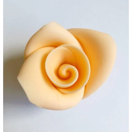 788d16d6cf18e55688dc895698f780d5