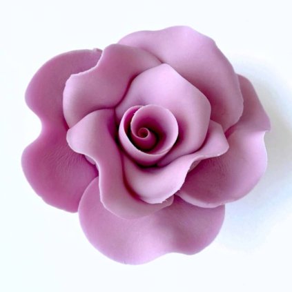 2403bb25d07241b2f54a6ff9841d1667