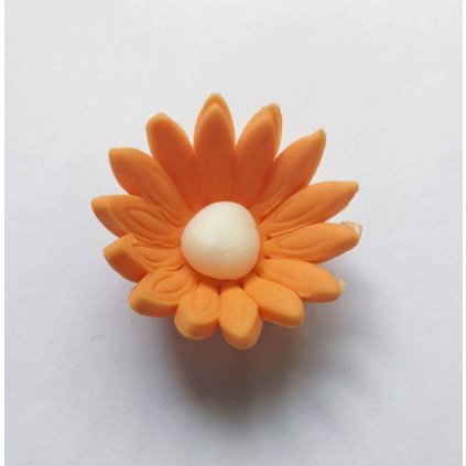 07f778165884fe71df0fb37681ed6a36