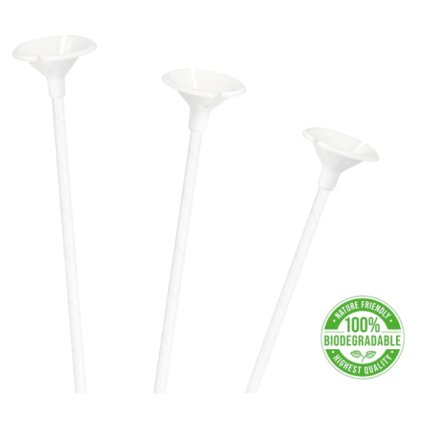 2154500bd18e0b04c403a7e25796970c