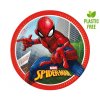 EKO Papírové talíře Spiderman Crime Fighter 23 cm - 8 ks  /BP