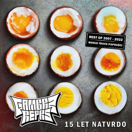 gambrz reprs 15 let natvrdo cover