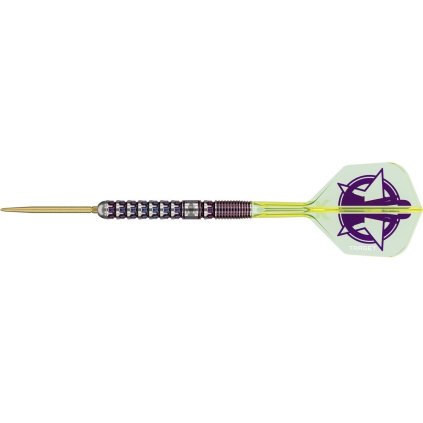 target luke littler world champion 90 swiss 23 gram