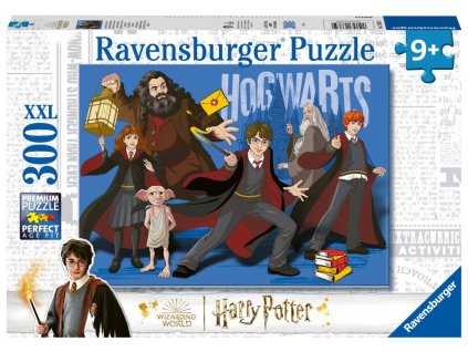 187592 harry potter a carodejove 300 dilku