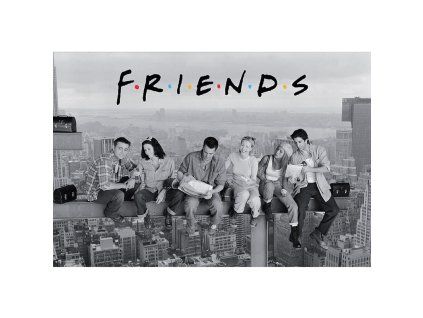 plakat friends skyscraper 60e8163f4ff91