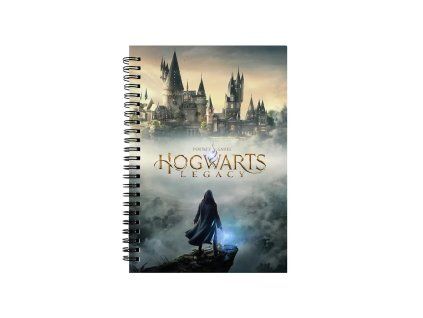 zapisnik hogwarts legacy 65d7750f3f233