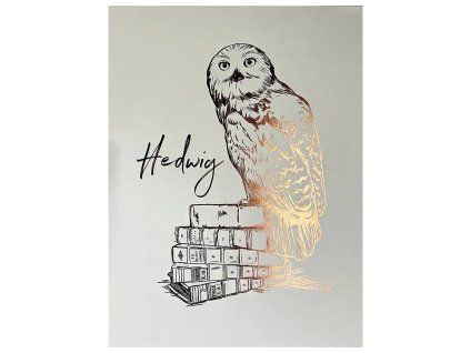 obraz harry potter hedvika 66c6a886847b0