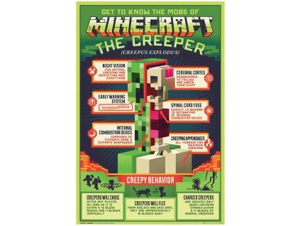 plakat minecraft anatomie creepera 672100c7d04e7