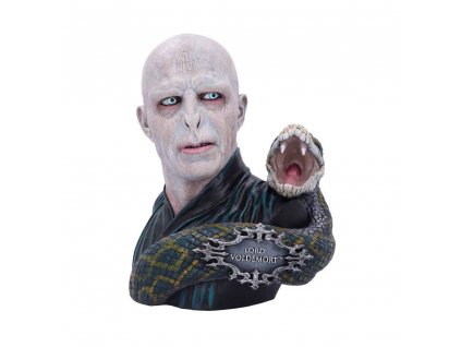 Harry Potter busta Lord Voldemort (1)